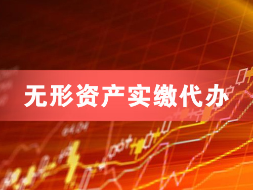 瑞昌无形资产实缴资本代办