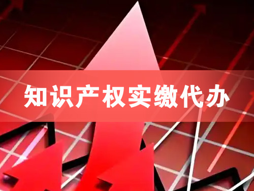 瑞昌知识产权实缴资本代办